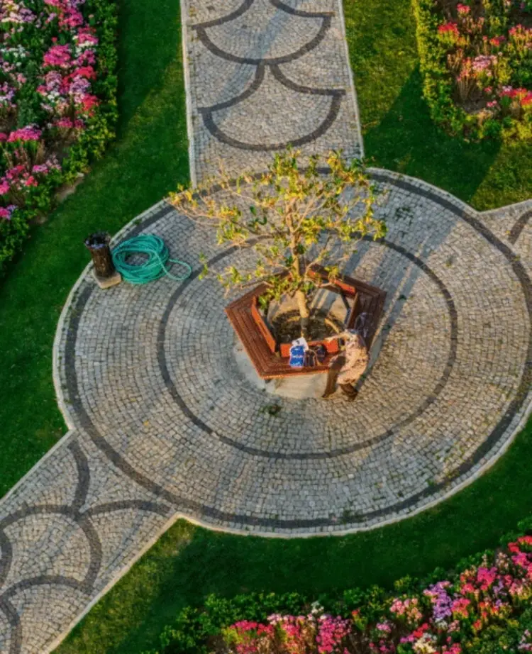 Landscape Design